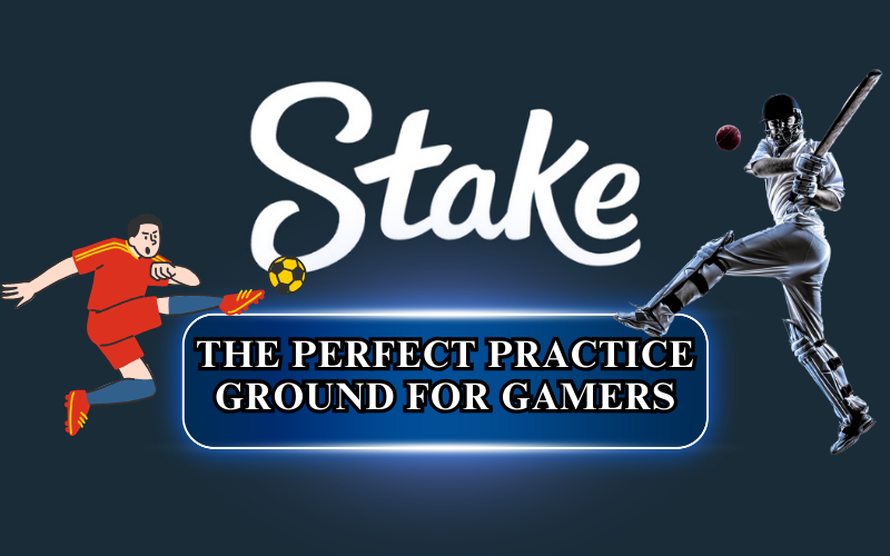 Stake Demo: The Perfect Practice Ground for Gamers